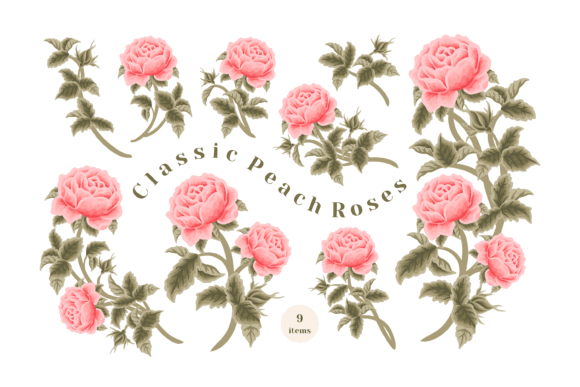 Discovering the Charm of a Vintage Peach Rose Floral Clipart Set for Your Creative Projects