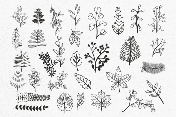 Leaves Bundle SVG: Greenery Floral Leaf Collection