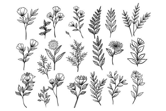 Set of Spring Floral Hand Drawn Vector Illustrations: A Practical Resource for Creatives