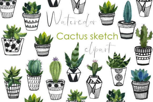 Unlocking Creative Possibilities with Floral Clipart Watercolor Cactus