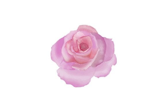 Watercolor Floral Rose Clipart – Elevating Design Projects with Timeless Botanical Elegance